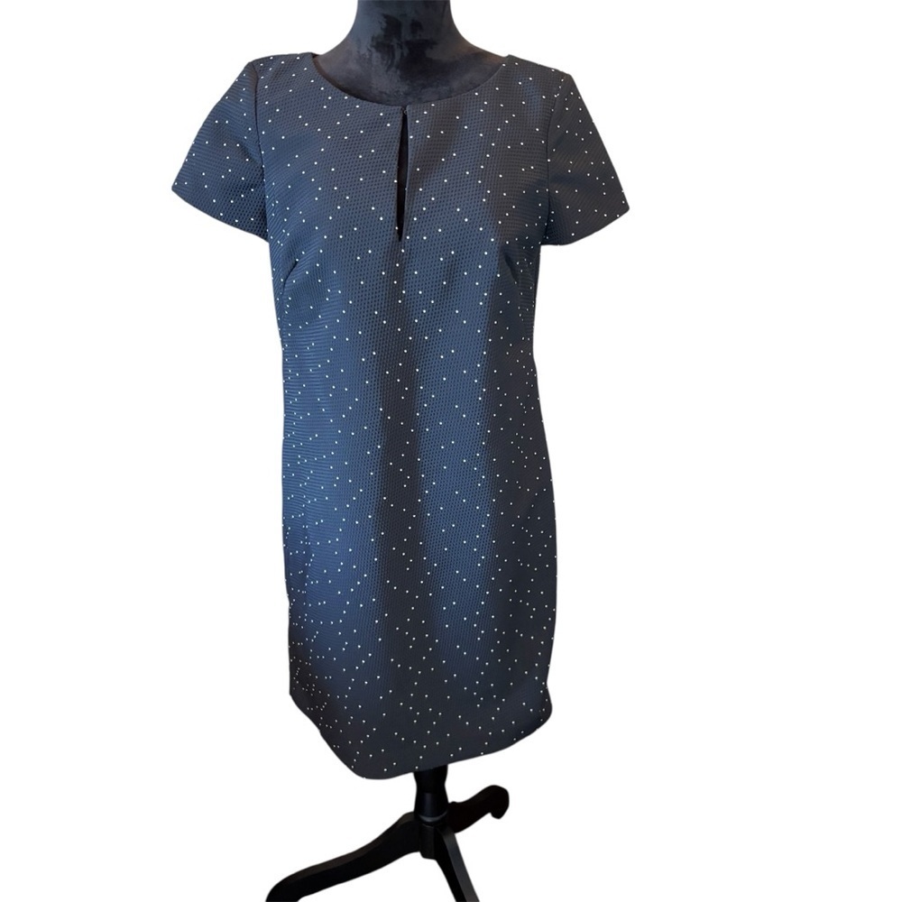 Ann Taylor Swiss Polka Dot Sheath Dress, size 8, Church Office Girly Staple